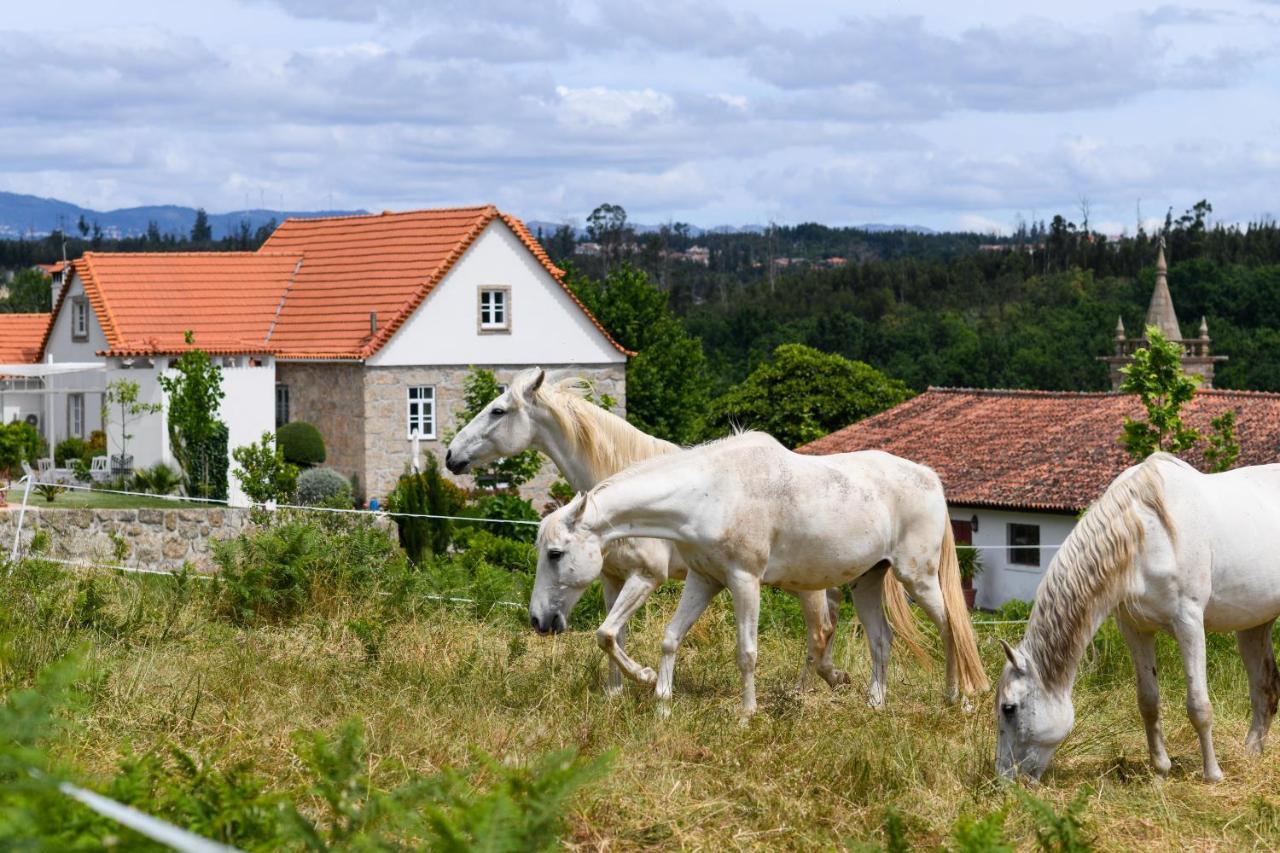 Pensjonat Quinta Lusitania Santa Comba Dao Zewnętrze zdjęcie