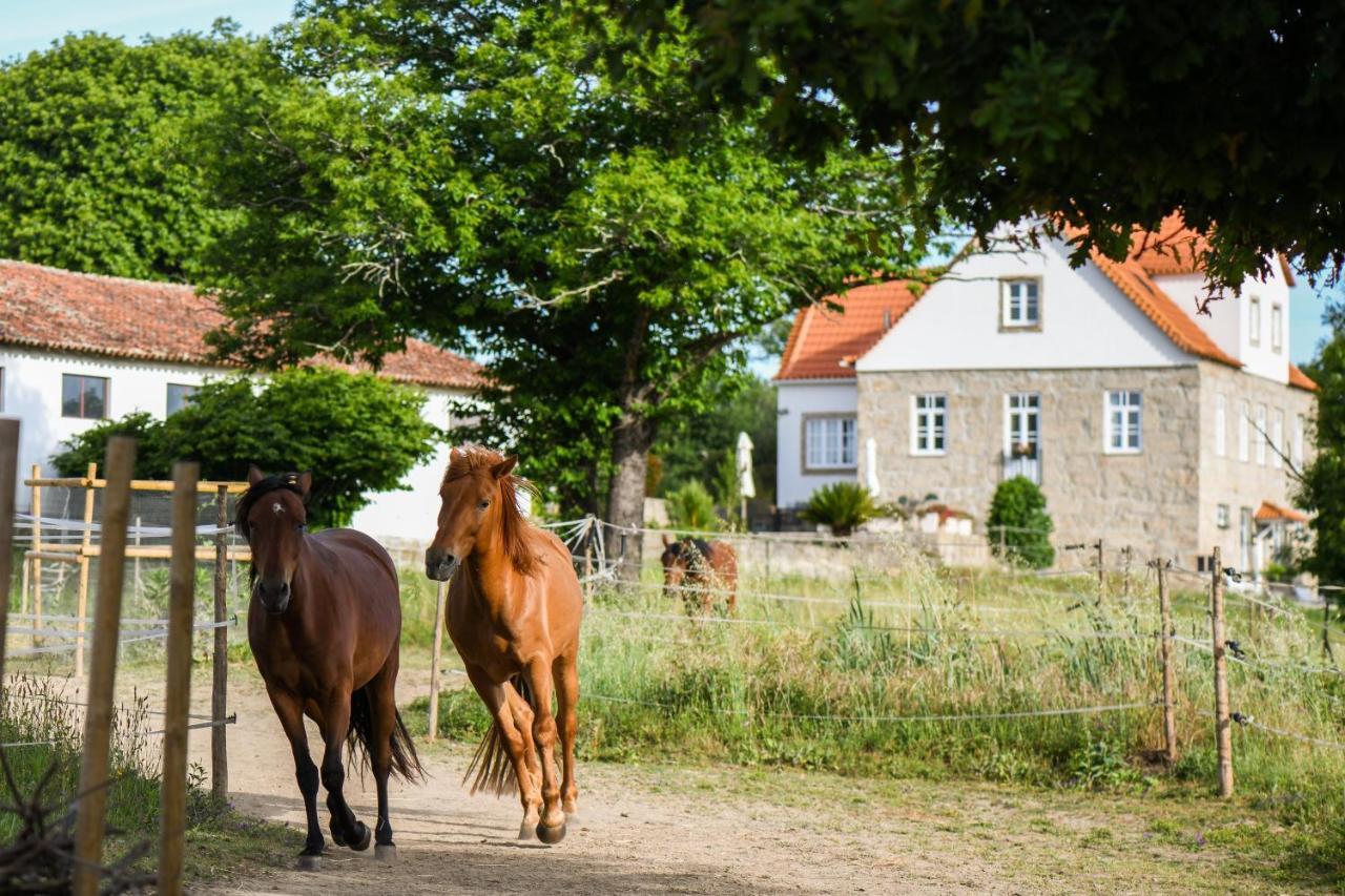 Pensjonat Quinta Lusitania Santa Comba Dao Zewnętrze zdjęcie