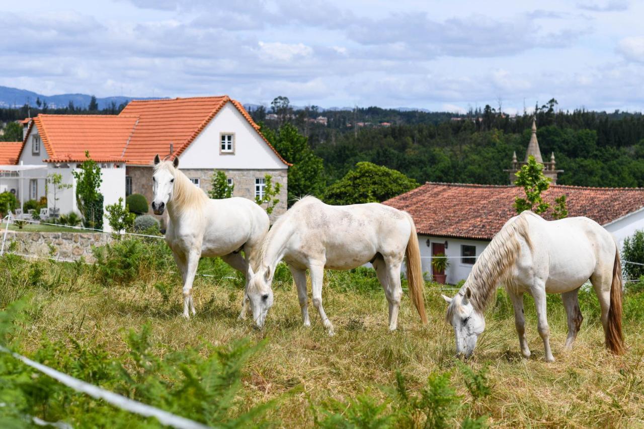 Pensjonat Quinta Lusitania Santa Comba Dao Zewnętrze zdjęcie